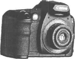 ilovefoto-36.jpg