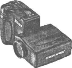 ilovefoto-37.jpg
